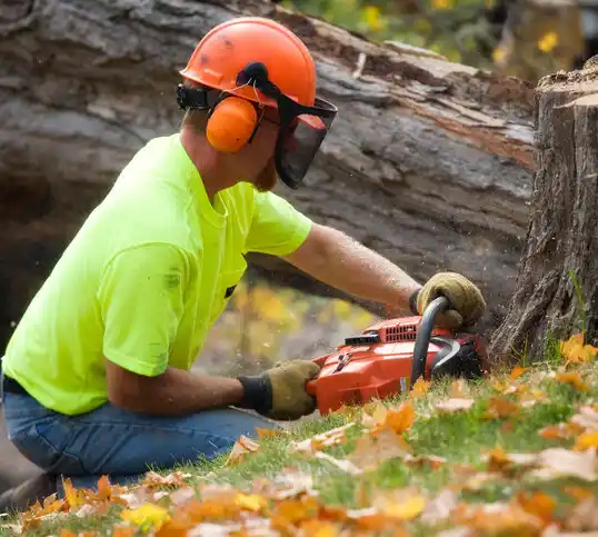 tree services Crestwood Village